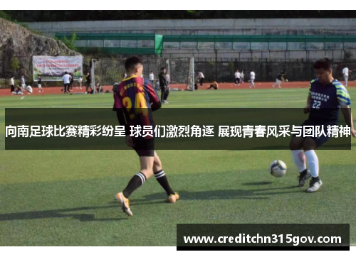 向南足球比赛精彩纷呈 球员们激烈角逐 展现青春风采与团队精神