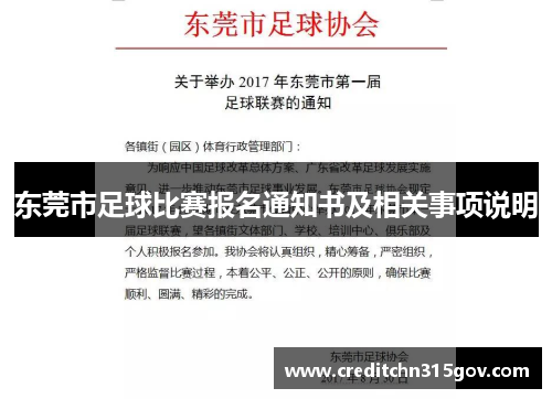 东莞市足球比赛报名通知书及相关事项说明